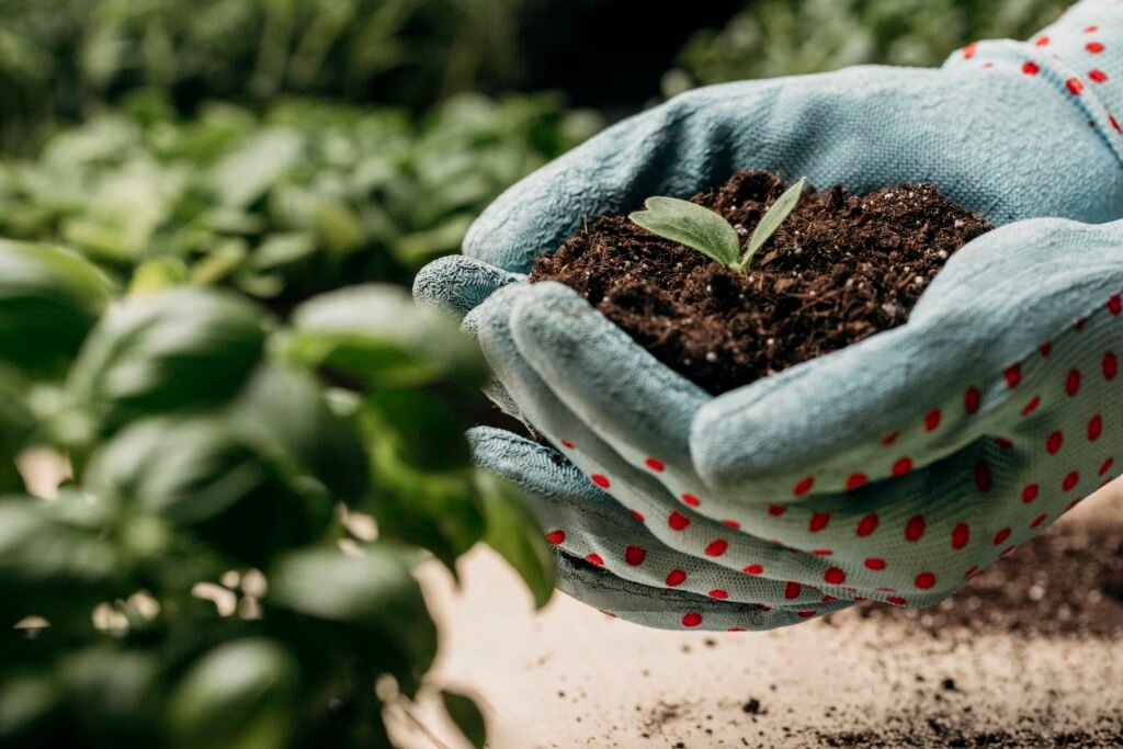 Vermicompost