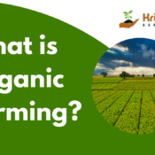 What is organic farming