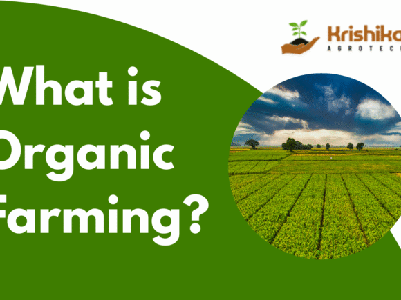 What is Organic Farming? A Complete Guide for India’s Agriculture