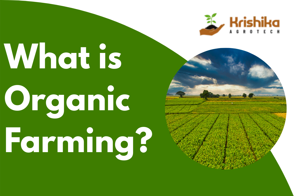 What is organic farming