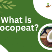 what is cocopeat