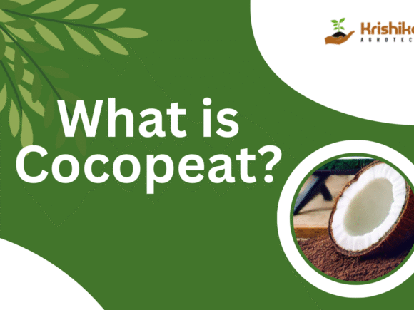 What is Cocopeat? A Complete Guide for Gardening and Farming
