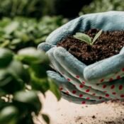Nature's fertilizer for healthier soil and abundant harvests.