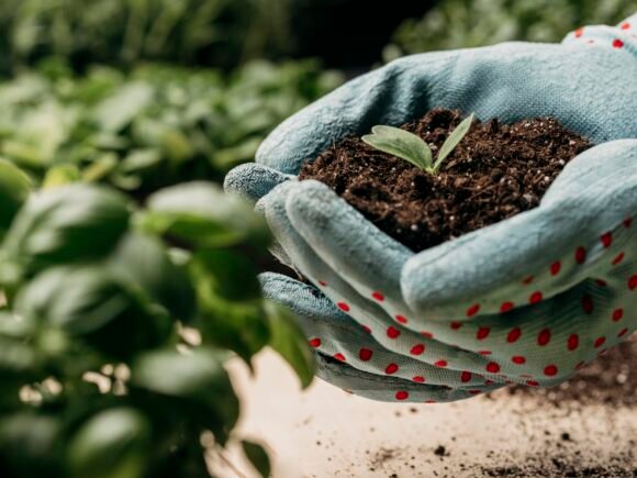 Vermicompost: Nature’s Gift for Healthy Soil and Sustainable Farming